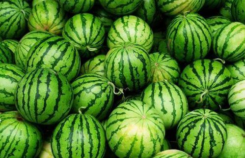 夏天必吃的瓜种类,盘点夏季必吃的清凉瓜类