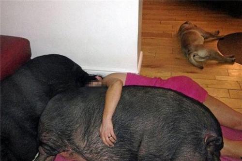 吃瓜看戏昵称女生名字,揭秘“吃瓜看戏”女生的独特魅力