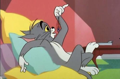 汤姆猫猫吃瓜,汤姆猫猫的瓜田奇遇记