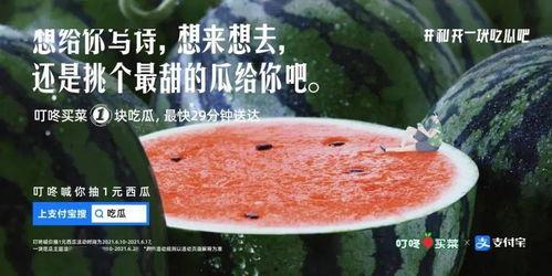 谁有瓜吃吗文案,揭秘“谁有瓜吃吗”背后的故事与启示
