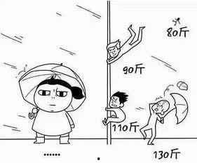 台风来了吃瓜,共度风雨美食时光