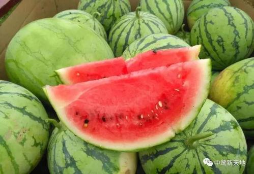 彩彩吃瓜,揭秘娱乐圈幕后故事