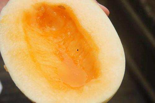 有瓜吃瓜爱好者,揭秘有瓜吃瓜爱好者的独特生活圈