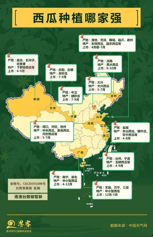 吃瓜省份,探寻地域特色与美食文化