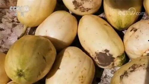 梦见请我吃瓜很甜