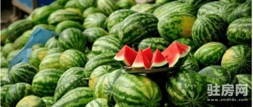 蓝奏吃瓜链接,一场网络热议背后的真相