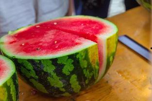 大学附近的酒店吃瓜,揭秘校园生活圈内的“吃瓜”热点