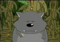 蕉太狼吃瓜,揭秘娱乐圈背后的秘密