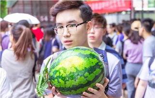 学校孟子吃瓜,一场关于智慧与生活的校园传奇