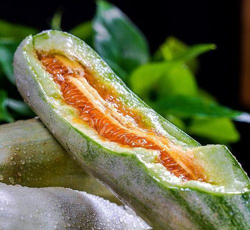 山东吃瓜的,探寻鲁菜背后的文化韵味