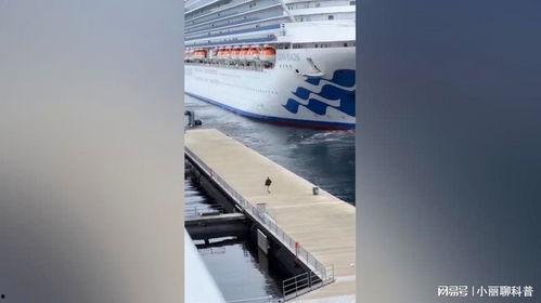 邮轮吃瓜网站,吃瓜网站带你领略海上美食盛宴