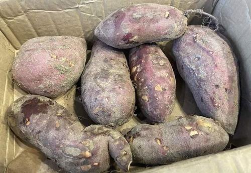 药瓜可以和红薯一起吃吗